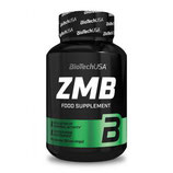ZMB - Biotech