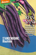 Stangenbohne 'Blauhilde' (Bio-Saatgut AT-BIO-301)