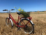 Vélo adulte ROUGE standard