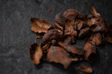 Kakaobohnenschale