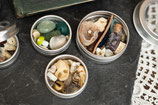 Naturorakelbox rund