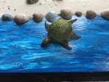 Schildkröte groß