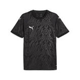 Puma teamcup Jersey