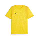 Puma teamcup Jersey