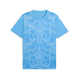 Puma Team Ultimate Jersey