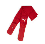 PUMA teamFINAL Socks