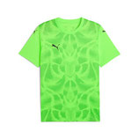 Puma Team Ultimate Jersey