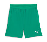 Puma teamcup shorts
