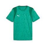 Puma teamcup Jersey