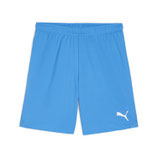 Puma teamGOAL Shorts