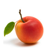 Nom du produit