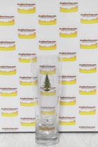 Waldhaus Spezial Bierglas 0,3l