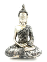 Tibetaanse Meditatie Boeddha