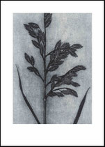 Grass, smoke. 50x70