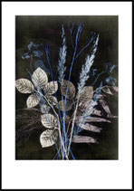 Wild Bouquet, blue. 70x100