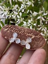 Hydrangea Petals