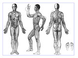 Modulo 2 - Medicina Tradizionale Cinese