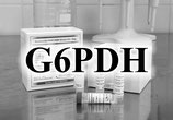 Glucose-6-phosphate dehydrogenase DH01