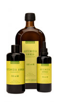 ARTEMISIA ANNUA PFLANZENAUSZUG Alkoholbasis  Kasimir und Lieselotte GmbH