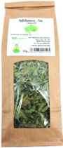 Bio Apfelminze Tee 30g