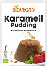Karamell-Pudding 43g Biovegan