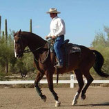 Horsemanship Clinic with Paul Dietz
