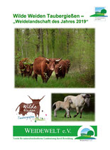 Weidelandschaft des Jahres 2019: Wilde Weiden Taubergießen