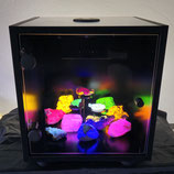 Displaykast met 365nm UV displaylamp