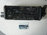 Radiateur YAMAHA 125 DTLC
