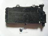 Radiateur BMW F 650 GS