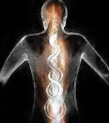 Reiki Kundalini Niveau I, 2, 3 ou 4 sélectionné unitairement