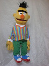 Bert