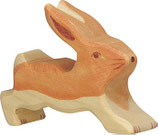 Hase, laufend