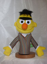 Bert