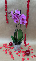 ORCHIDEE ROSE et son cachepot