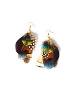 BO plumes N1