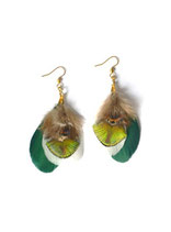 BO plumes N4