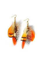 BO plumes N8