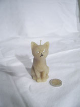 Katze