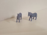 Zebras