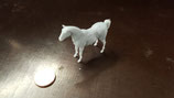Pferd