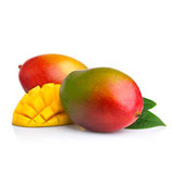 MANGUE  BIO