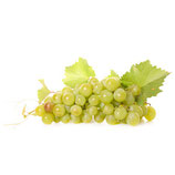 RAISIN BLANC ITALIA BIO