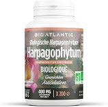 HARPAGOPHYTUM RACINE 400mg (120 comprimés)