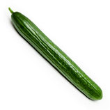 CONCOMBRE LONG  BIO