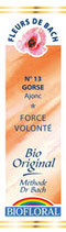 N°13 GORSE Ajonc 20ml