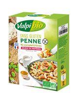 PENNE RIZ COMPLET FEVES 250GR