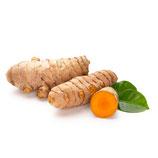 CURCUMA TUBERCULES  BIO