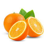 PETITES ORANGES A JUS BIO
