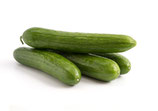 CONCOMBRE BIO